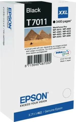 Cartus Cerneala Original Epson Black T7011  C13T70114010
