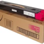 Toner Original Ricoh Black821277  821277
