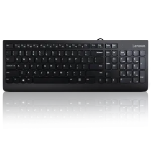Lenovo 300 USB Keyboard - US English - GX30M39655